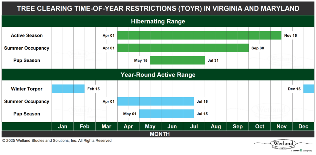 2025.04.11_FINAL-TOYR-Table-1024x502.png