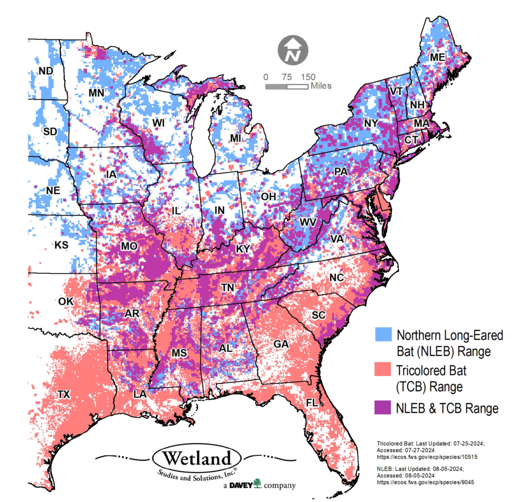 This map shows the species for which USFWS has provided a Determination Key, Northern Long-eared Bat and Tricolored Bat.